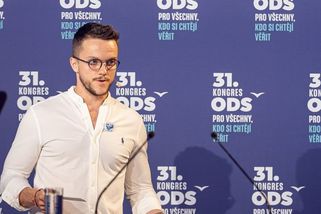 Fialův zeť se absencemi zcela vymykal, tvrdí šéf kontrolního výboru Brna - Novinky